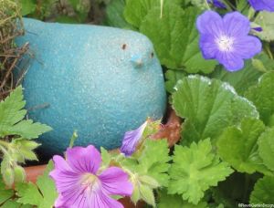 blue pottery bird and geraniums